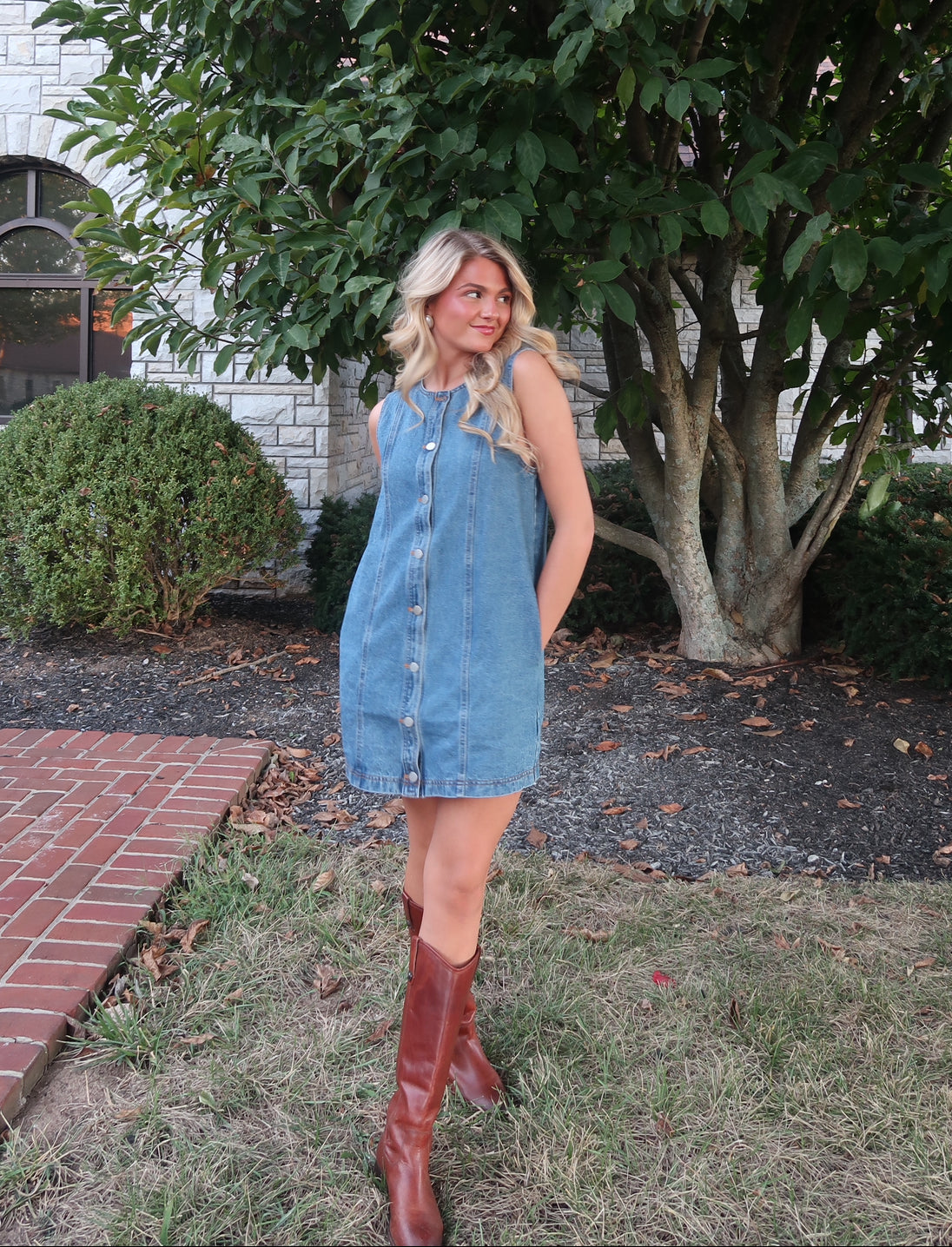 Hayes Denim Mini Dress