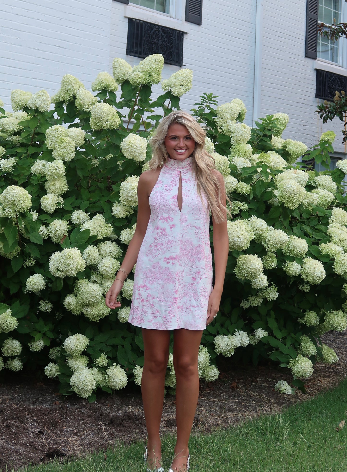 Lola Chinoiserie Dress