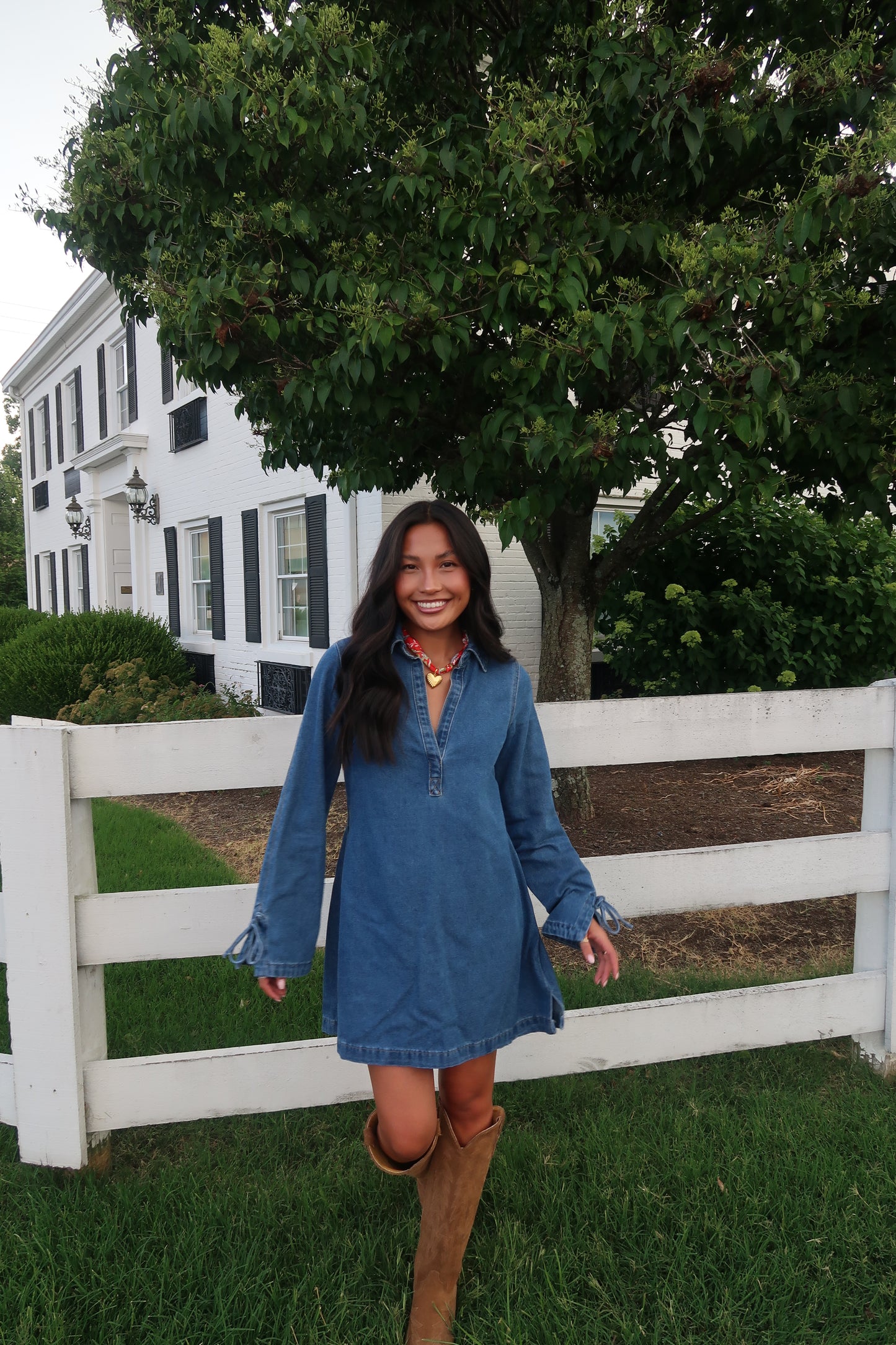 Bluegrass Denim Dress