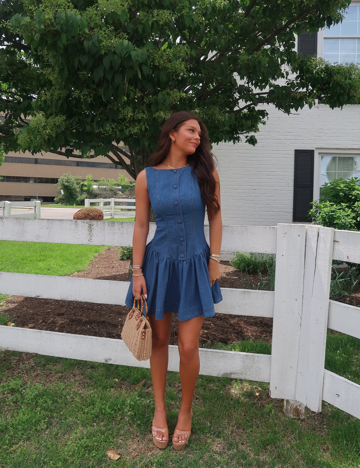 June Denim Mini Dress