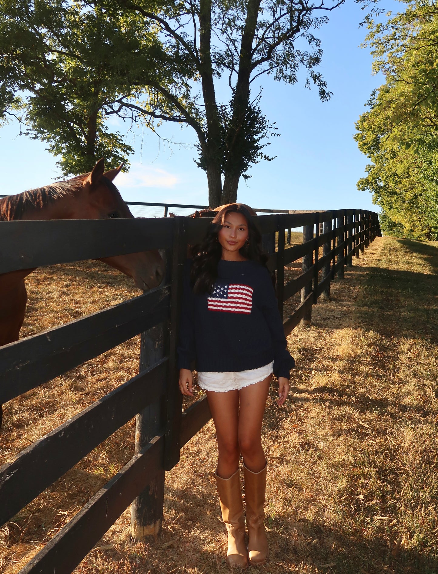 Ralph American Flag Sweater | Navy