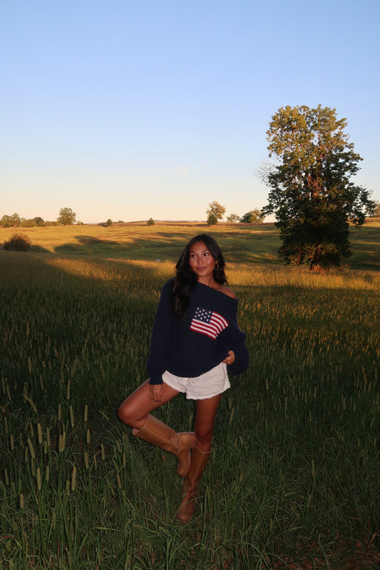 Ralph American Flag Sweater | Navy