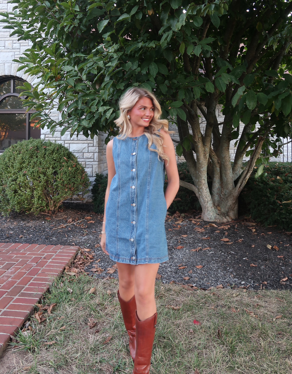 Hayes Denim Mini Dress