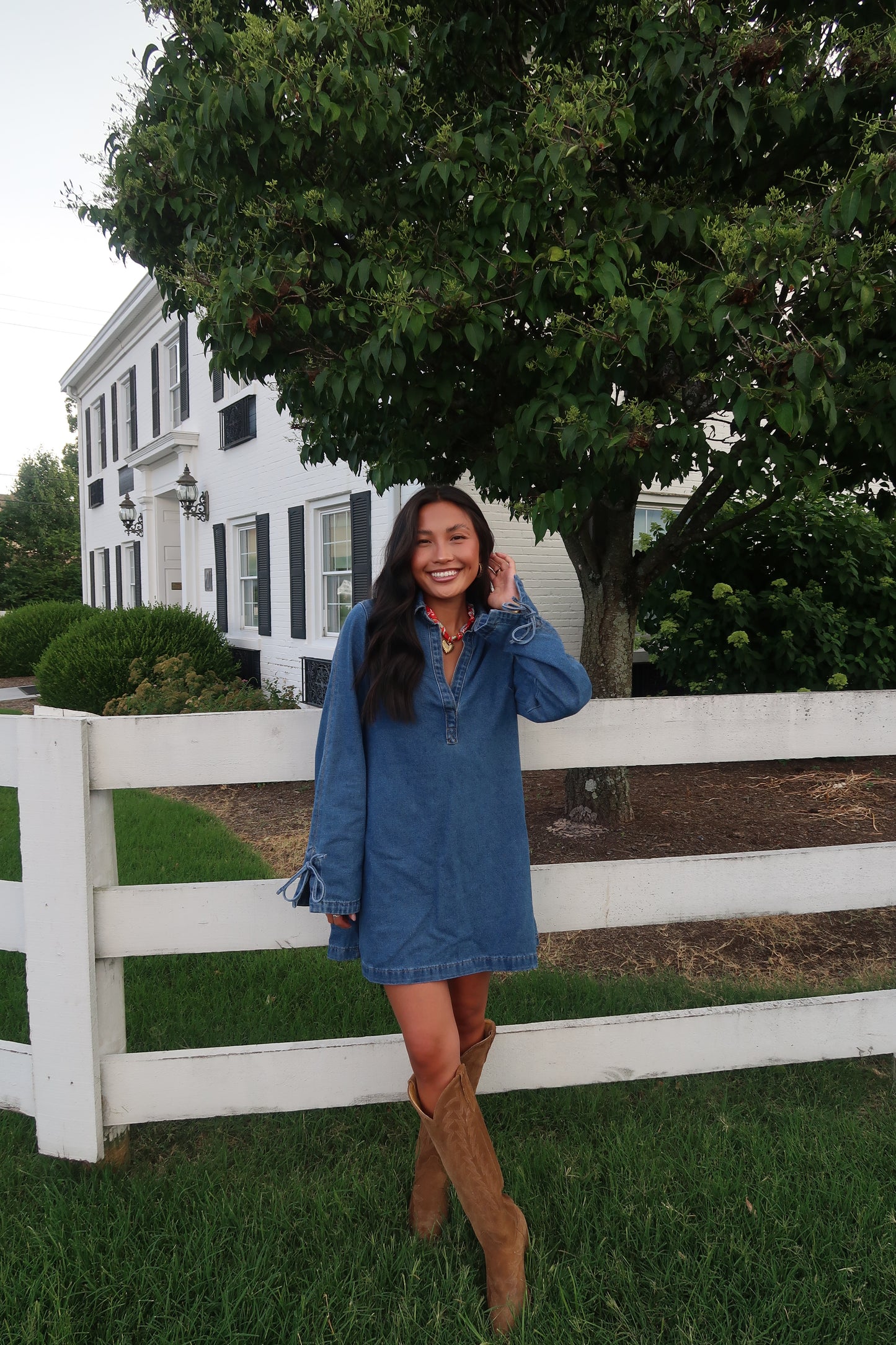 Bluegrass Denim Dress