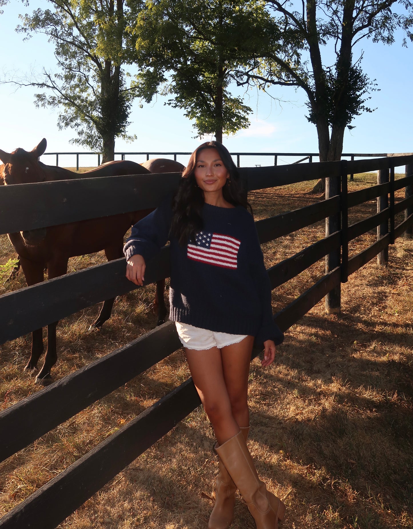 Ralph American Flag Sweater | Navy