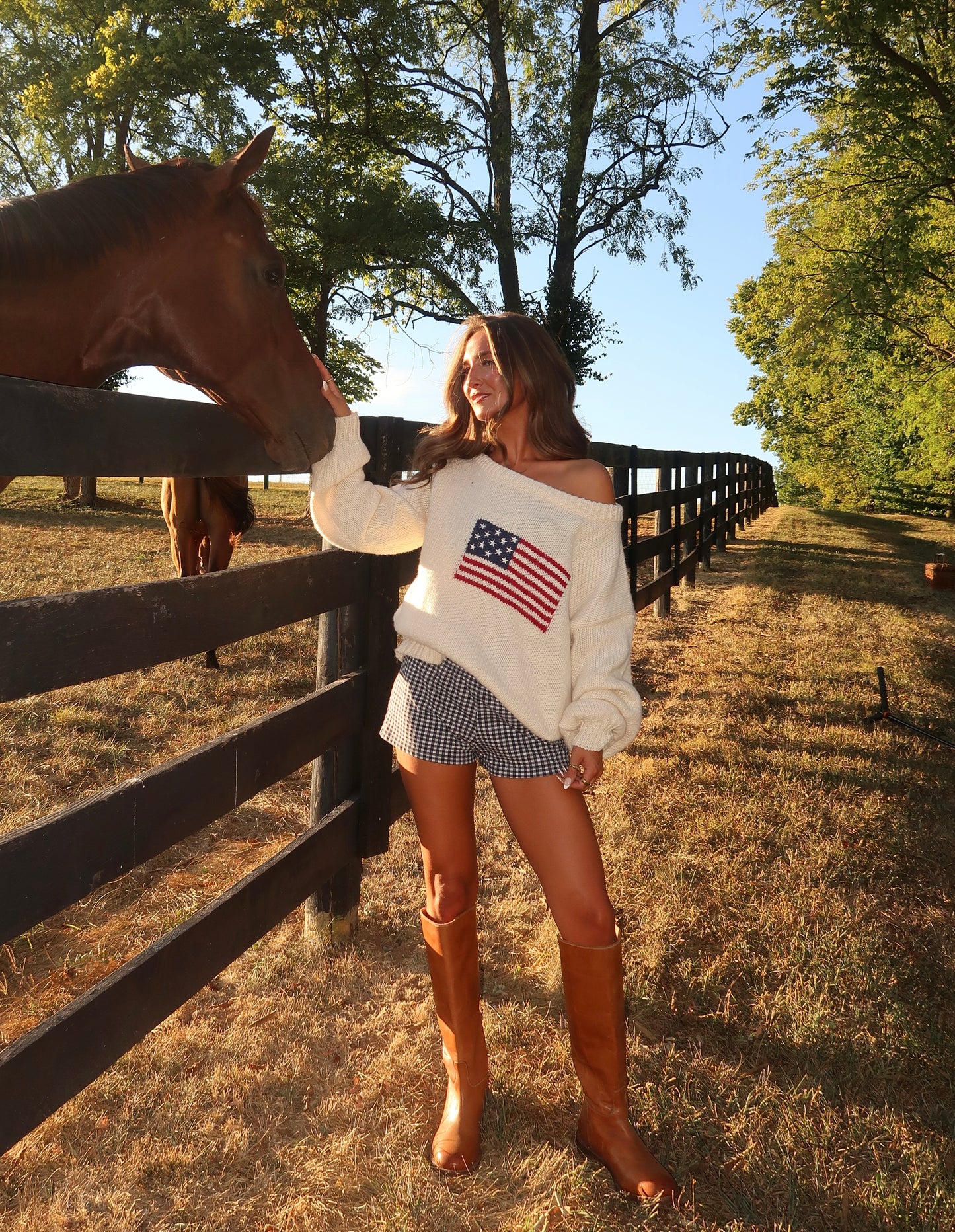 Ralph American Flag Sweater | Cream