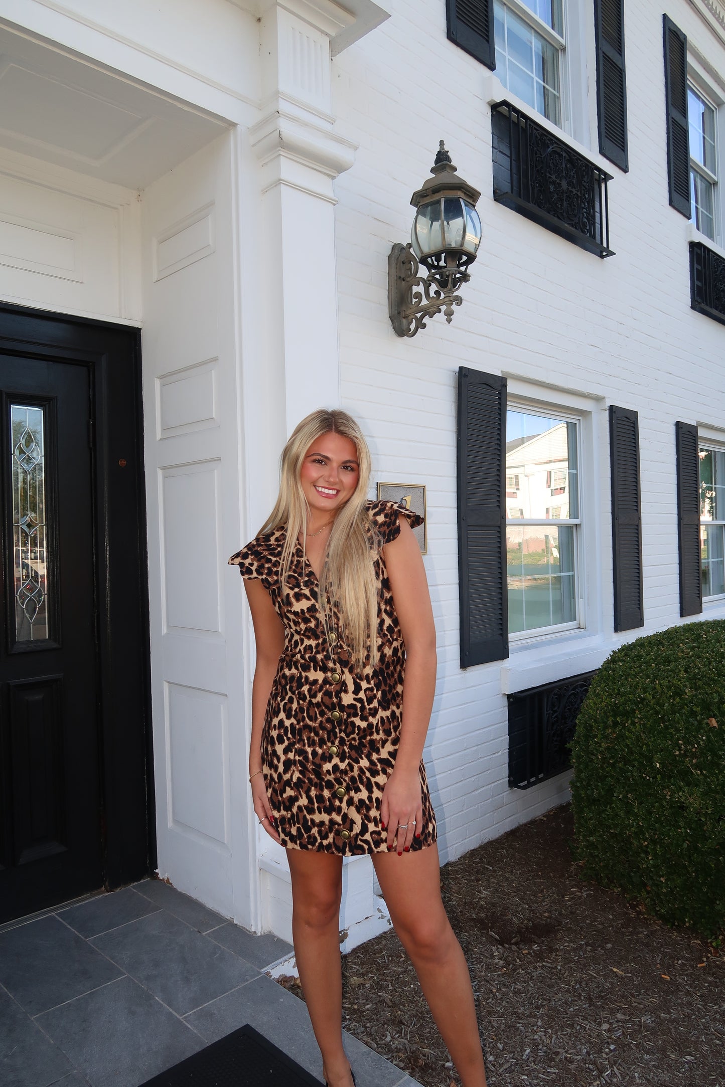 Bonnie Leopard Dress