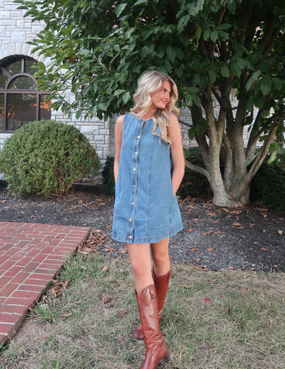 Hayes Denim Mini Dress