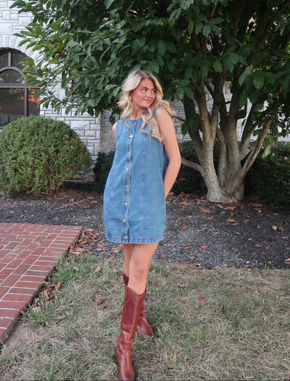 Hayes Denim Mini Dress