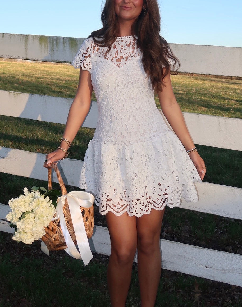 Evie Lace Mini Dress
