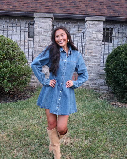 Phoebe Denim Mini Dress