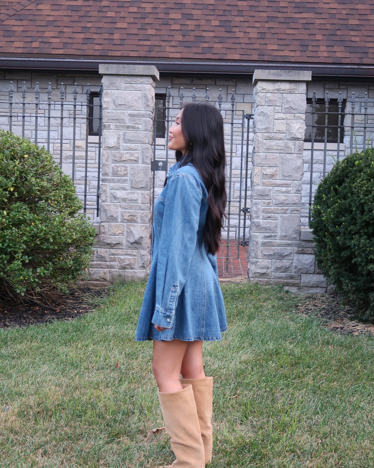 Phoebe Denim Mini Dress