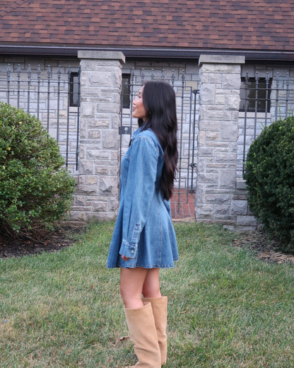 Phoebe Denim Mini Dress