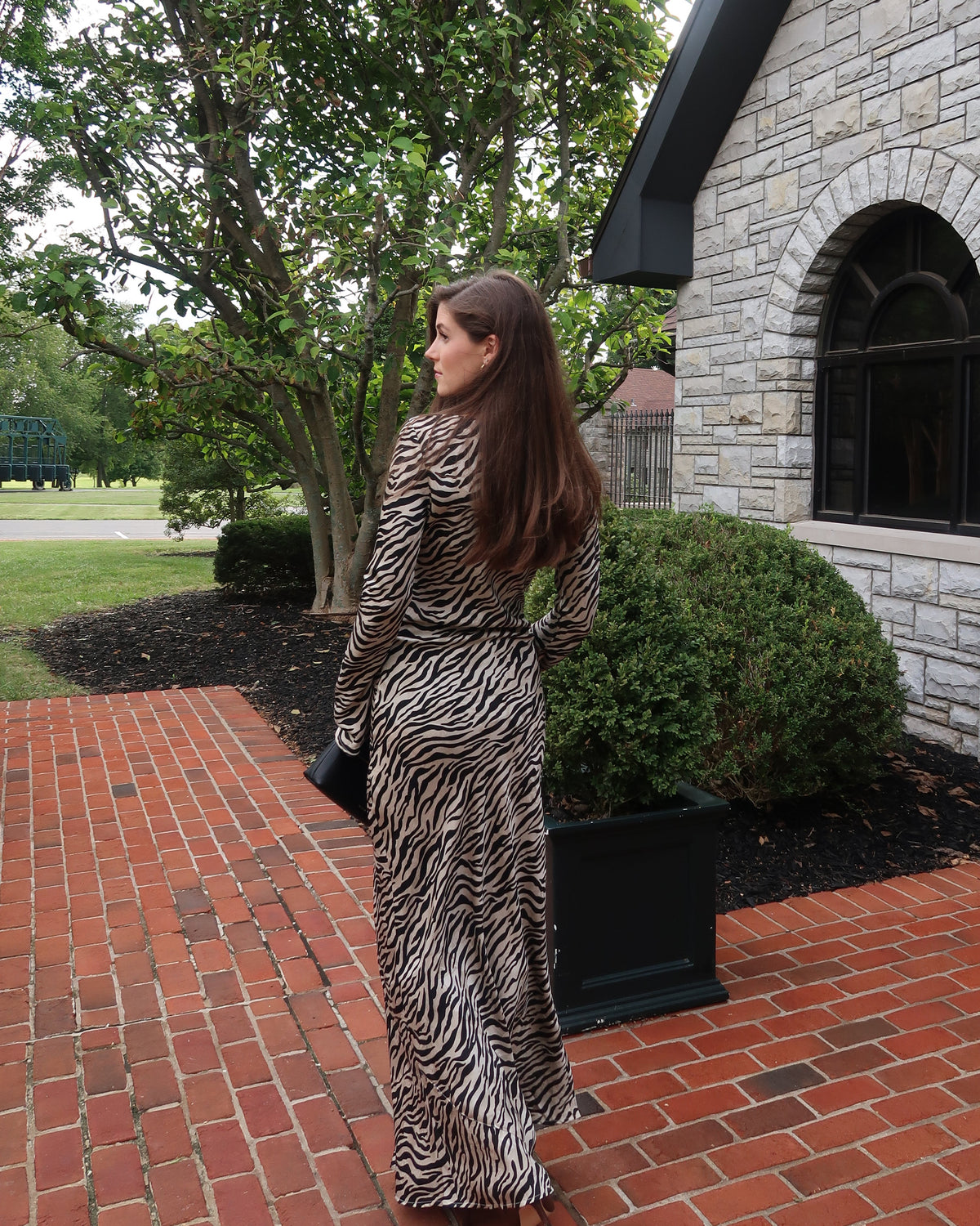 Gemma Zebra Maxi Dress | PREORDER 11/13