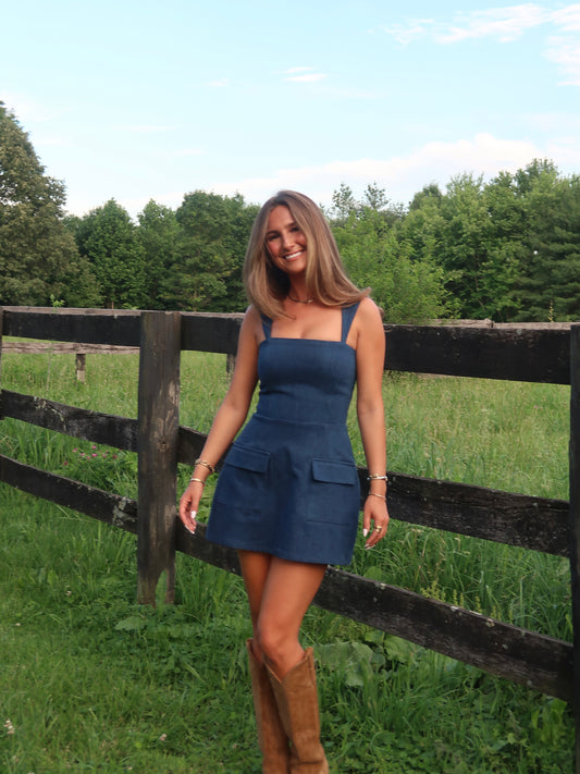 Jentry Mini Dress | Denim