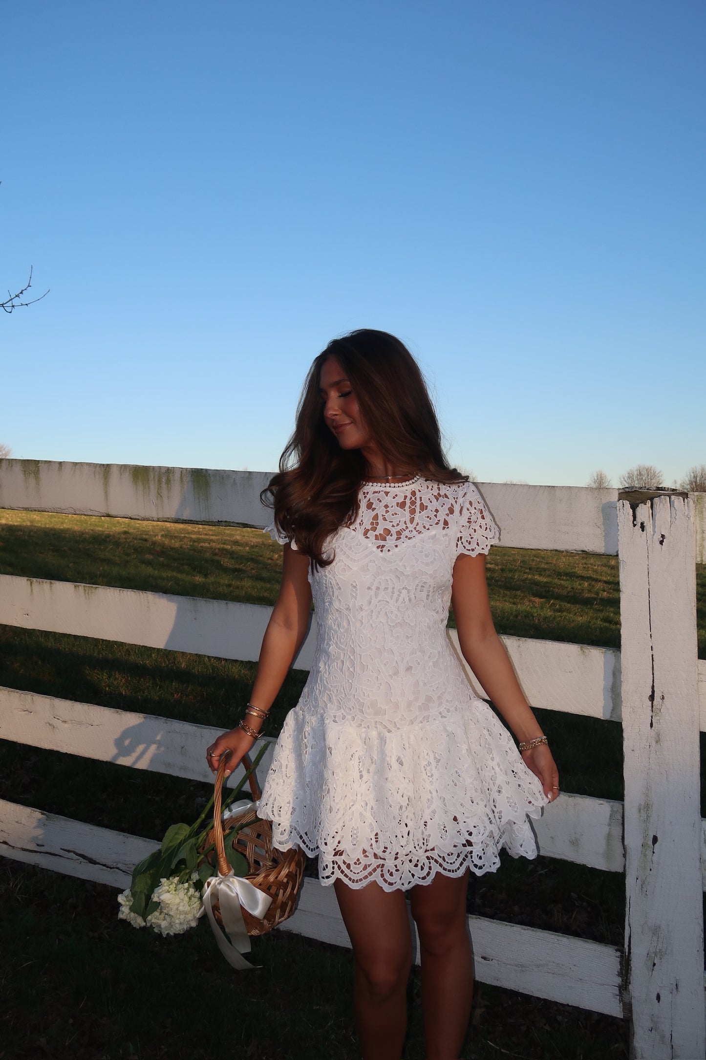 Evie Lace Mini Dress