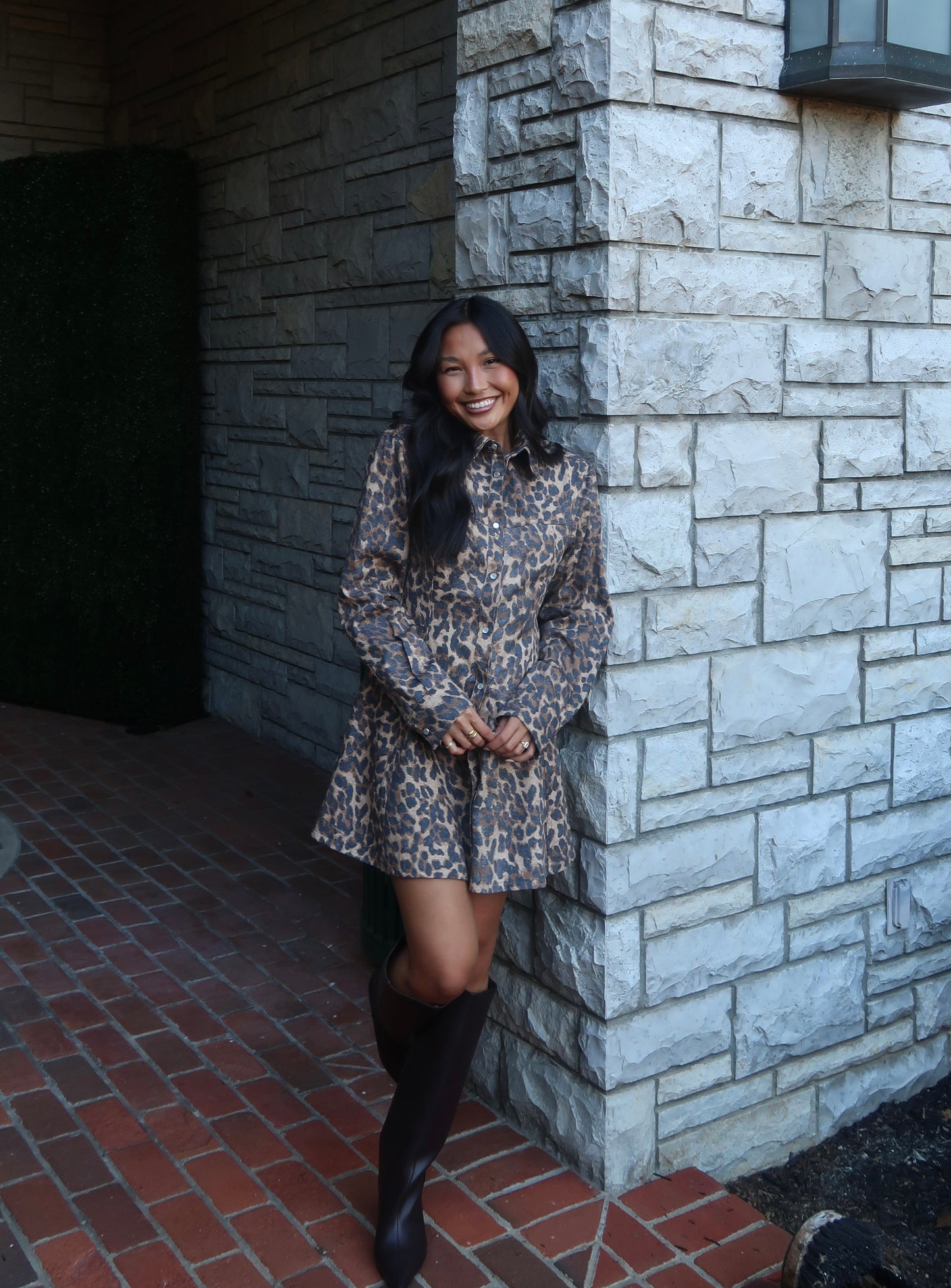 Gianna Leopard Mini Dress