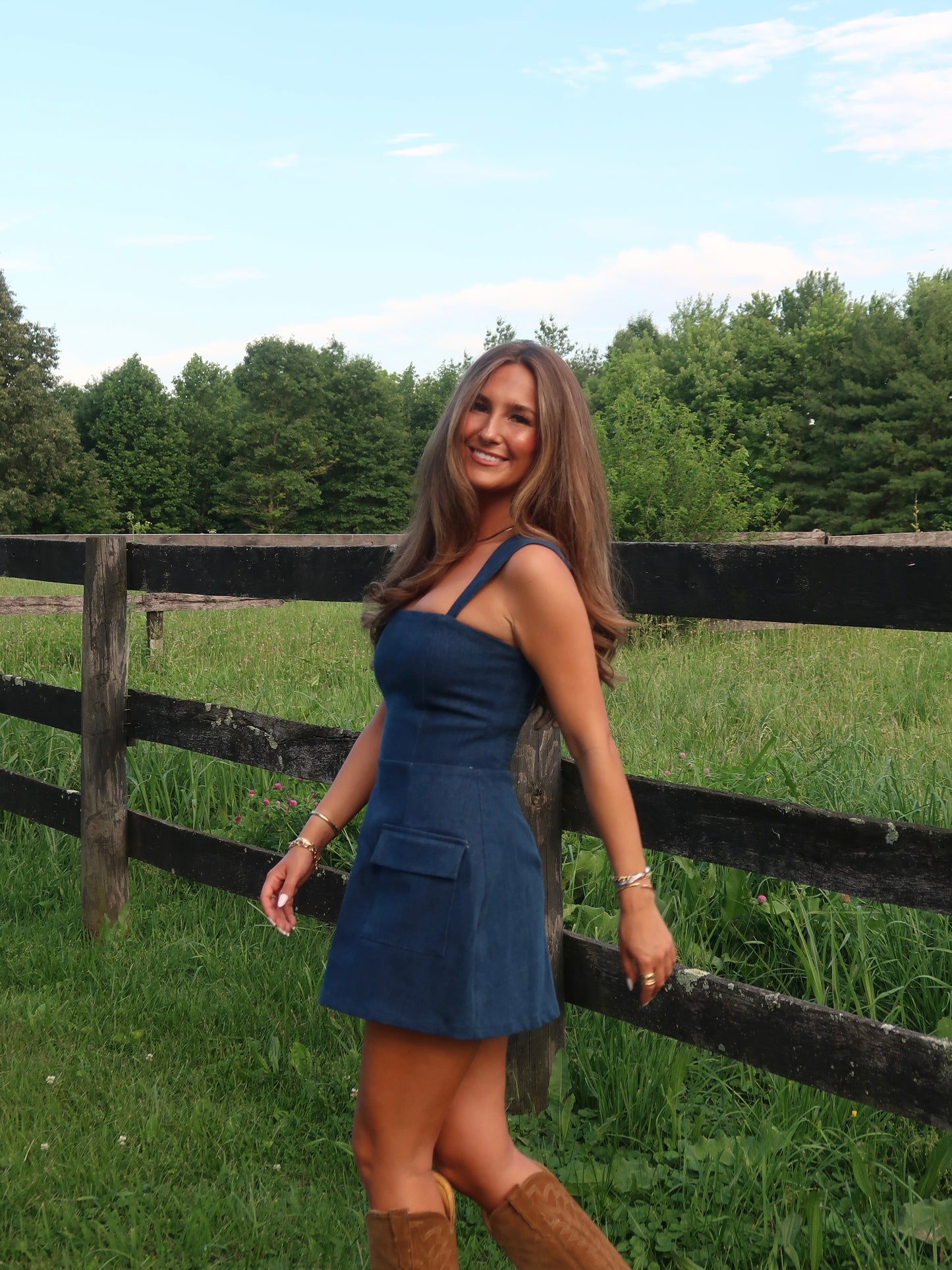 Jentry Mini Dress | Denim