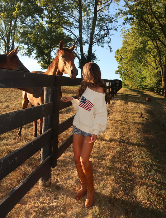 Ralph American Flag Sweater | Cream