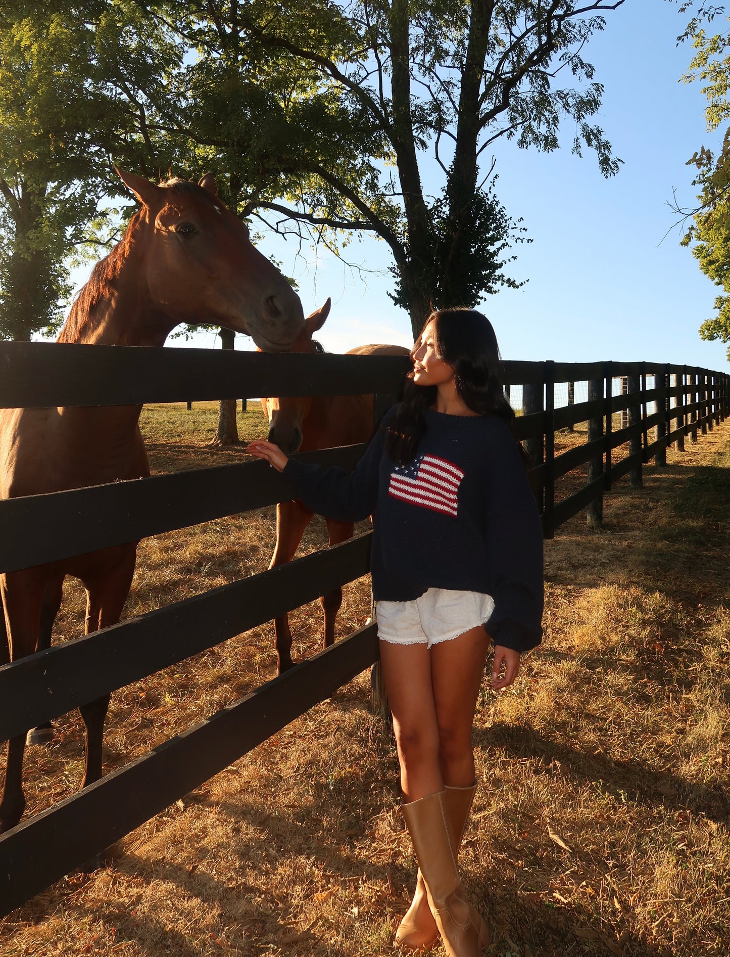 Ralph American Flag Sweater | Navy