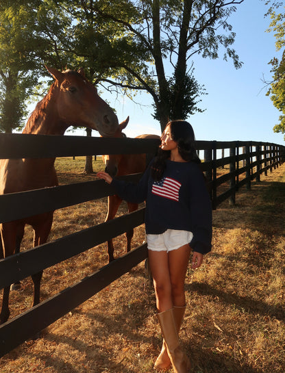 Ralph American Flag Sweater | Navy