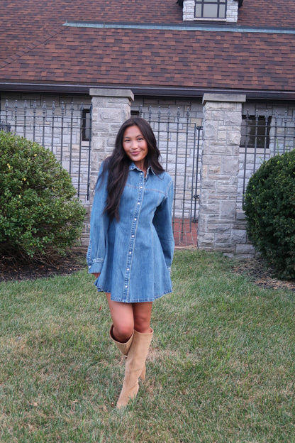 Phoebe Denim Mini Dress