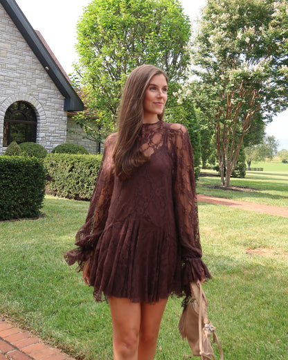 Emerson Lace Mini Dress | Brown