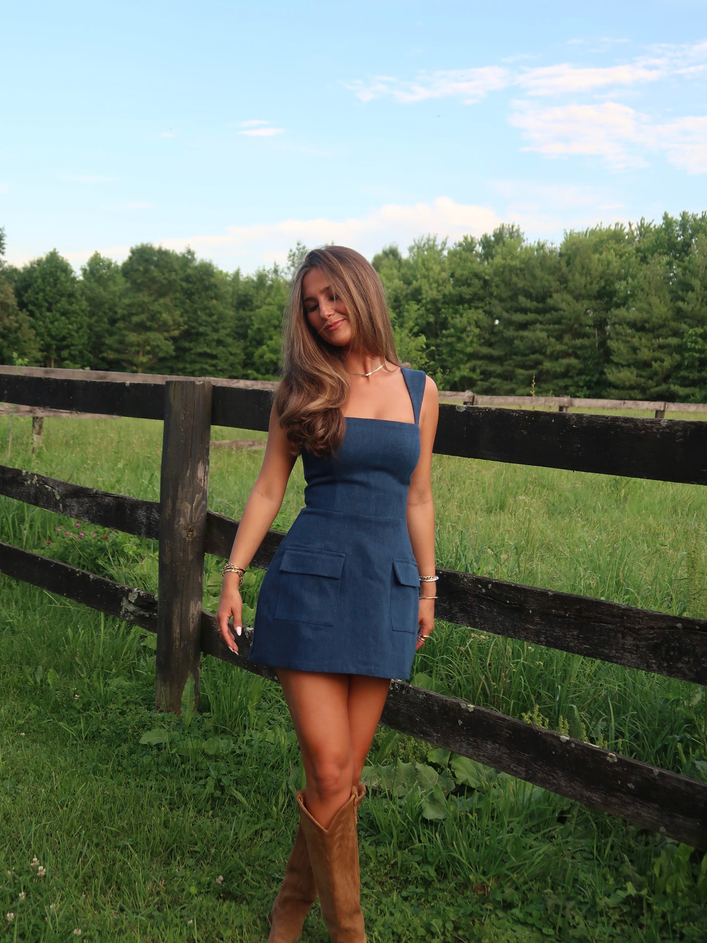 Jentry Mini Dress | Denim