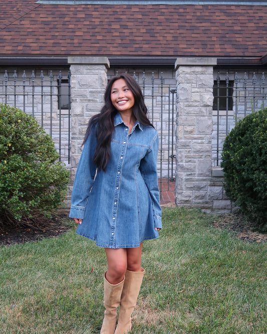Phoebe Denim Mini Dress