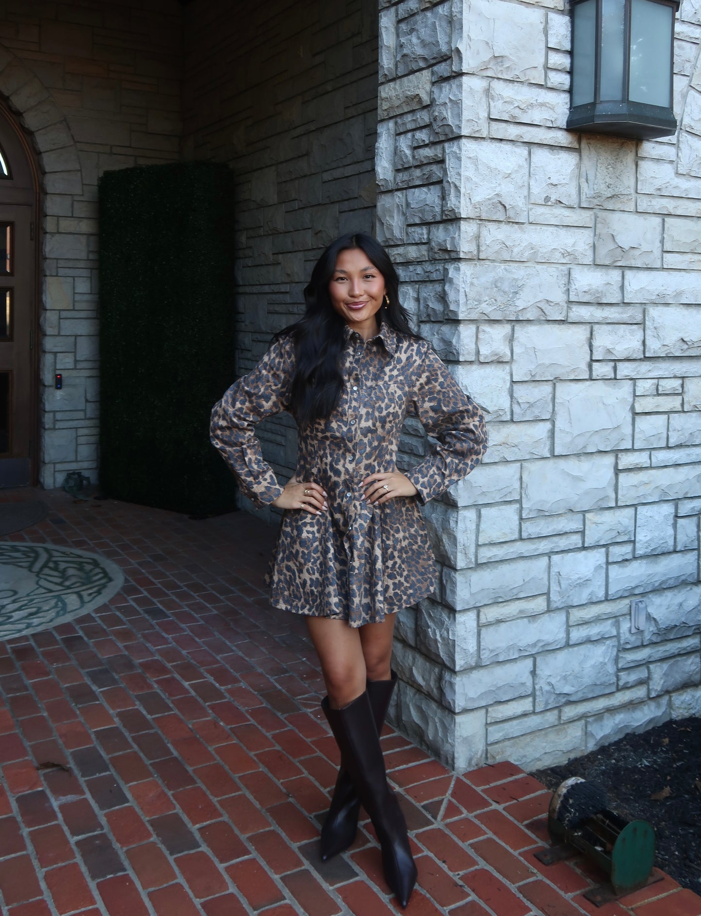 Gianna Leopard Mini Dress