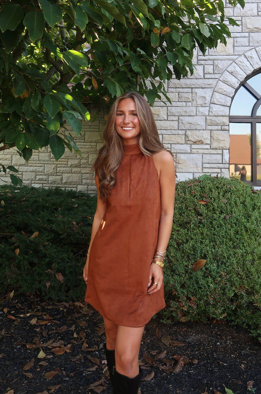 Rhodes Suede Mini Dress | Brown