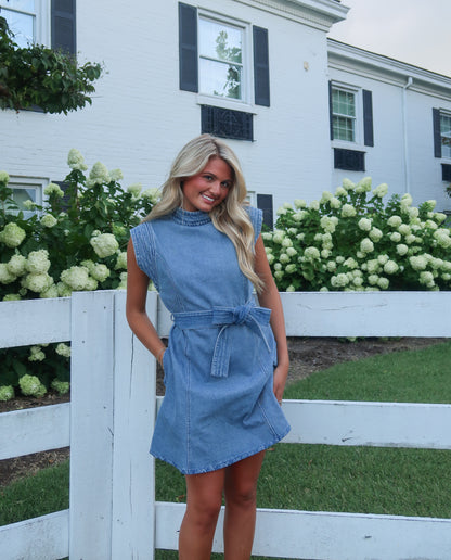 Shae Denim Mini Dress