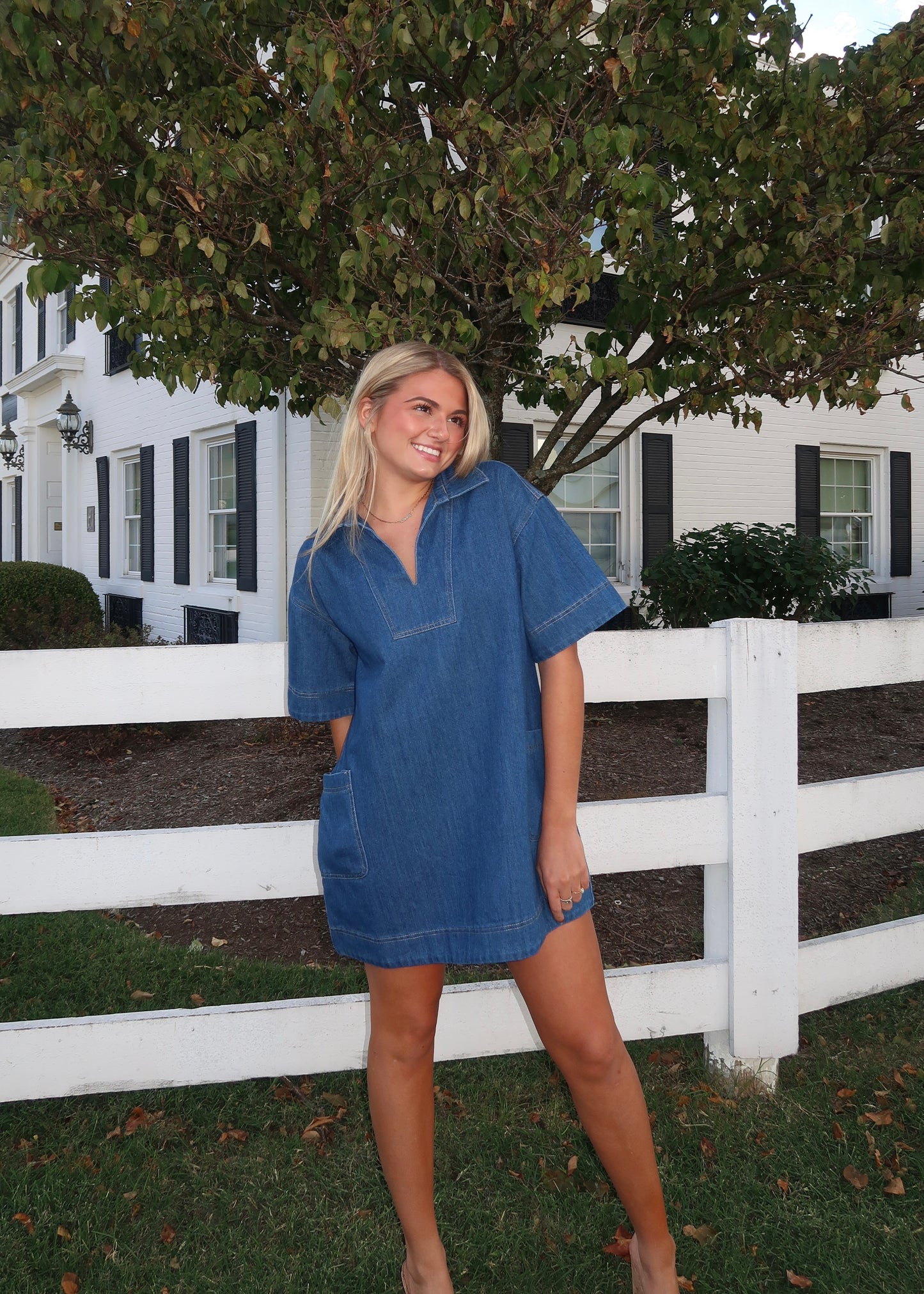 Maren Denim Dress