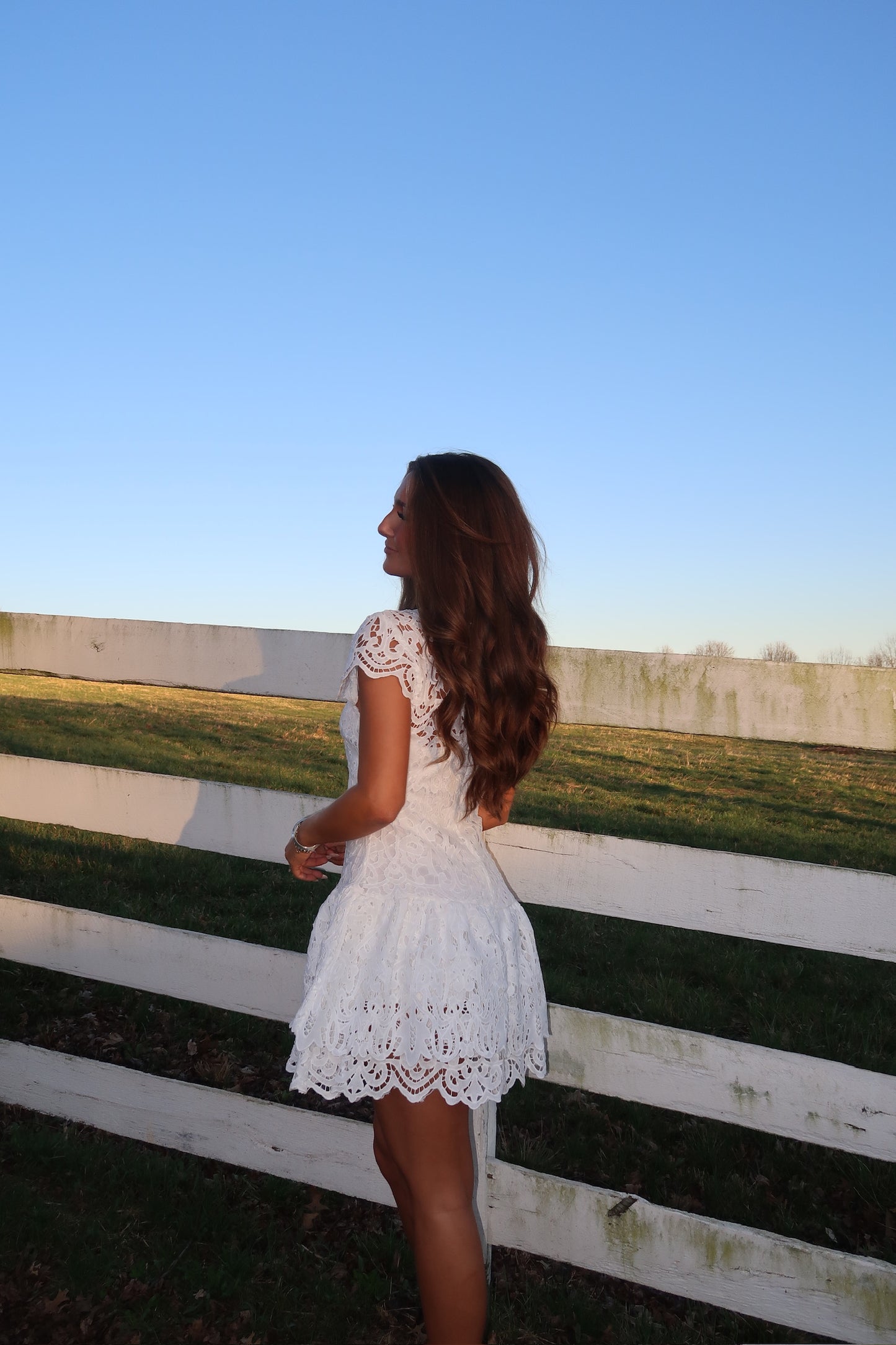 Evie Lace Mini Dress