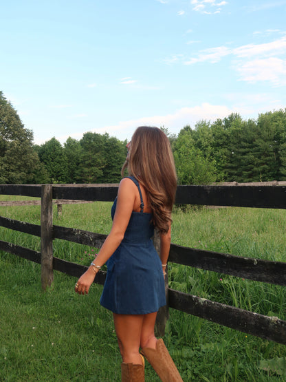 Jentry Mini Dress | Denim