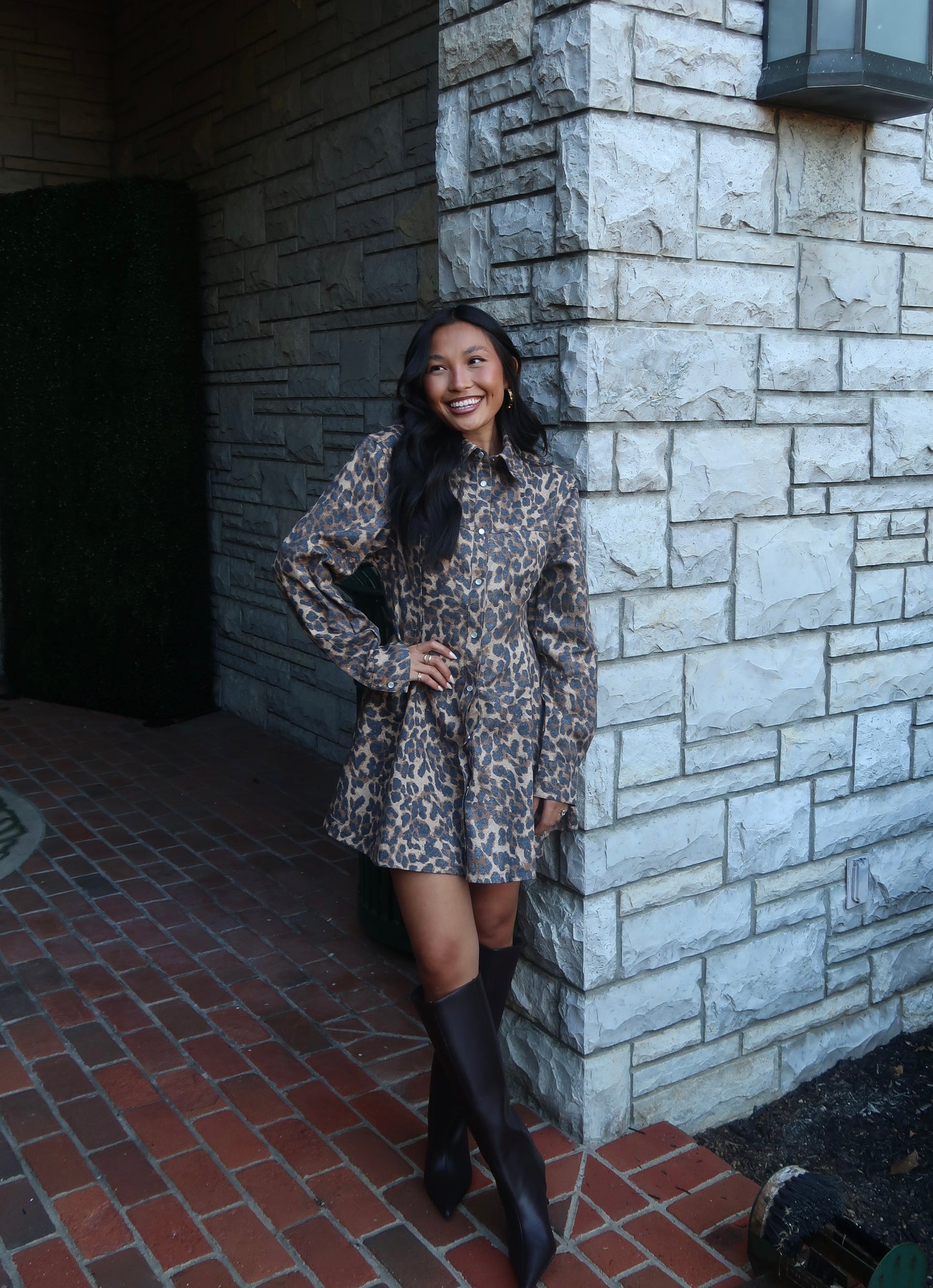 Gianna Leopard Mini Dress