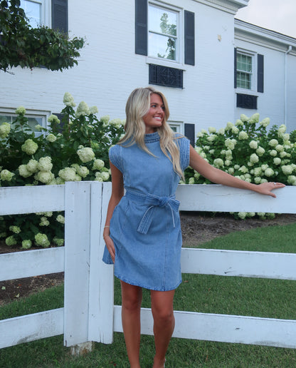 Shae Denim Mini Dress