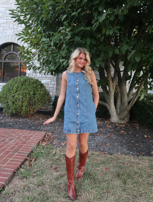 Hayes Denim Mini Dress
